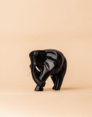 EBONY